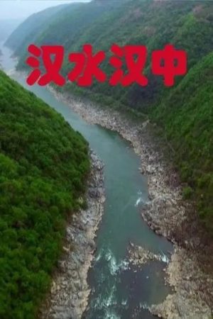 汉水汉中 (2016) poster