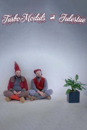 TurboModuls julestue (2016) poster