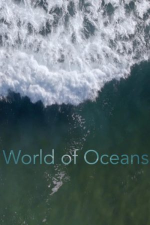World of Oceans (2020) poster