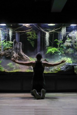 My Giant Cloud Rainforest Vivarium (2023) poster