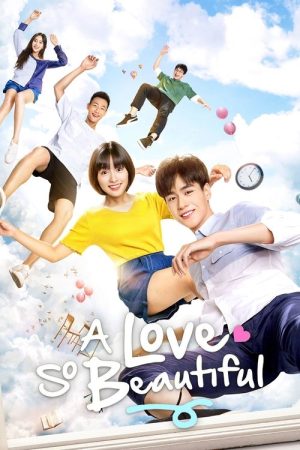 A Love So Beautiful (2017) poster