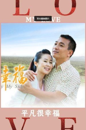 Happiness By My Side (2017) poster