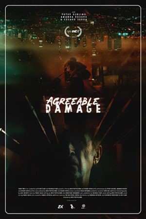 Agreeable damage (2020) poster