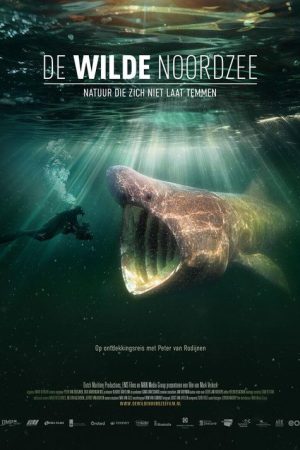 North See – Nature Untamed (2025) poster