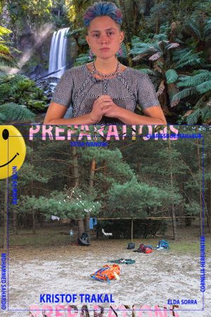 Preparations (2019) poster