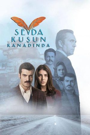 Sevda Kuşun Kanadında (2016) poster