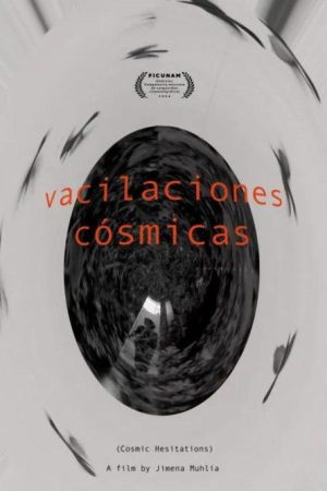 Vacilaciones cósmicas (2024) poster