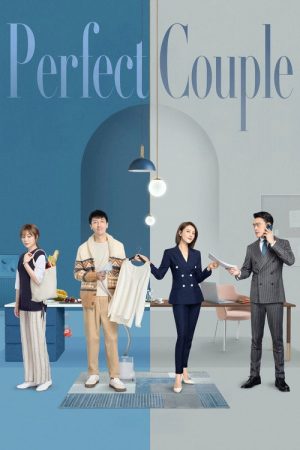 Perfect Couple (2022) poster