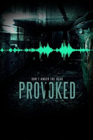 Provoked (2016) poster