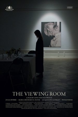 The Viewing Room (2022) poster