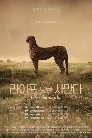 Life of Samantha (2019) poster