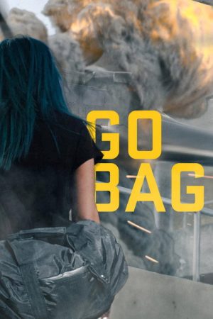 Go Bag (2016) poster