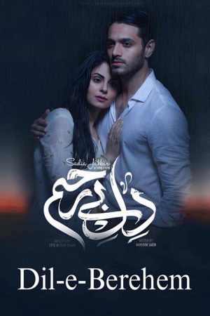 Dil-e-Bereham (2019) poster