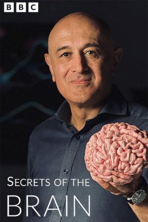 Secrets of the Brain (2025) poster