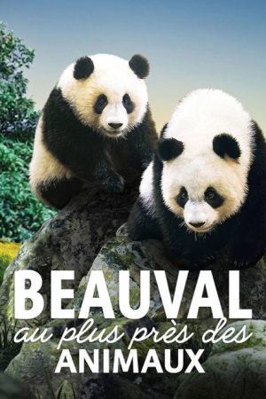 Beauval, au plus près des animaux (2026) poster