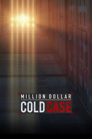 Million Dollar Cold Case (2017) poster