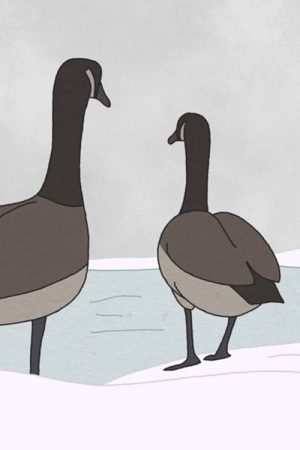 Hudson Geese (2020) poster