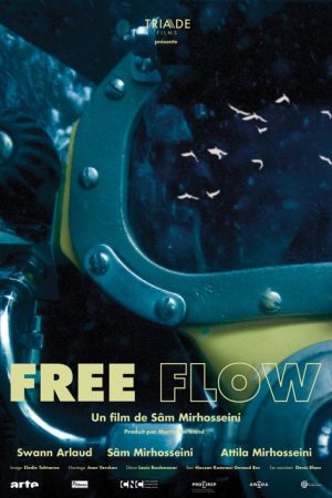 Free Flow (2020) poster