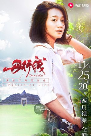 丹行线 (2018) poster