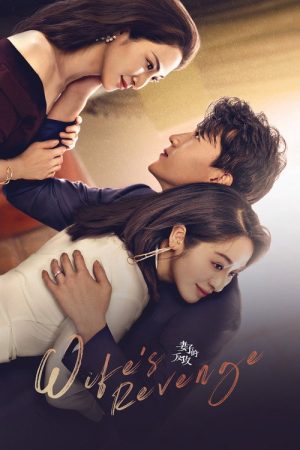 Wife’s Revenge (2021) poster