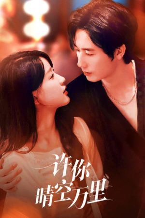 Renewed Love in the Skies (2025) poster