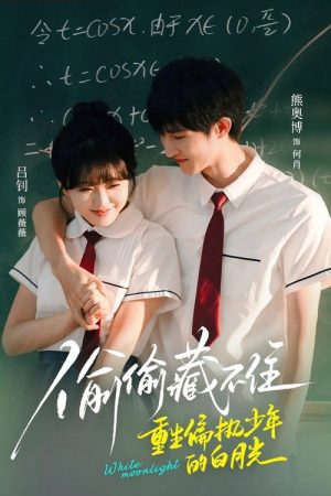 偷偷藏不住重生偏执少年的白月光 (2025) poster