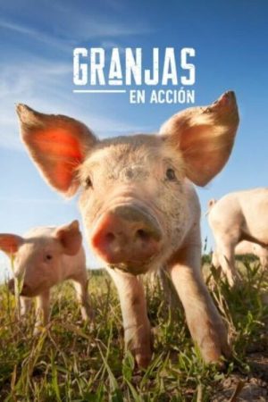 Granjas en acción (2025) poster