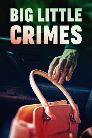 Big Little Crimes (2023) poster