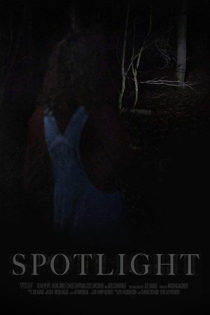 Spotlight (2018) poster
