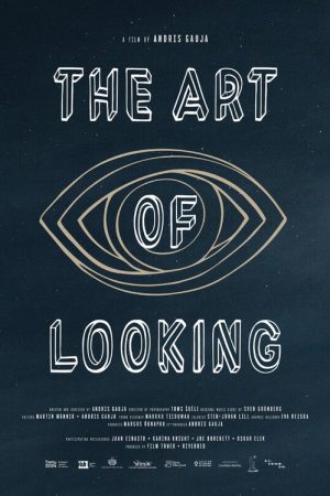 The Art of Looking (2024) poster