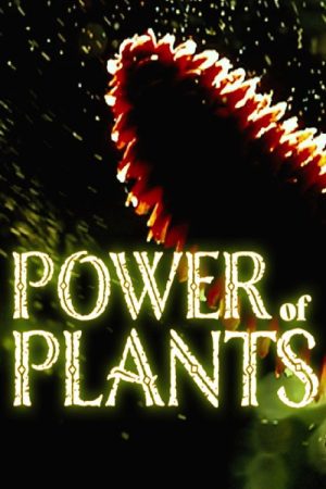 Power Of Plants (2022) poster