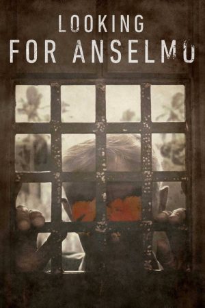 Em Busca de Anselmo (2022) poster