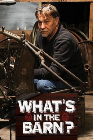 What’s in The Barn (2019) poster