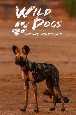 Wild Dogs: Running with the Pack (2022) poster
