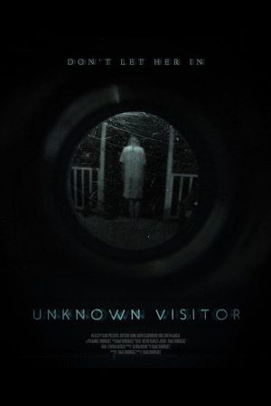 Unknown Visitor (2019) poster