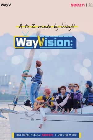 WayVision (2020) poster