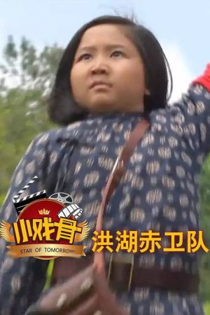 小戏骨：洪湖赤卫队 (2016) poster