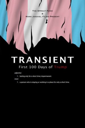 Transient (2018) poster