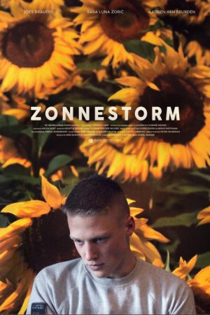 Zonnestorm (2019) poster