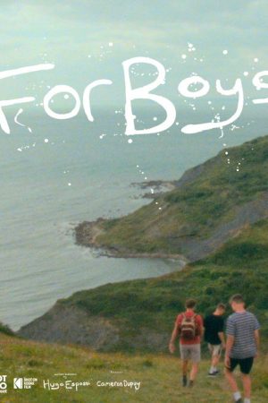 For Boys (2024) poster
