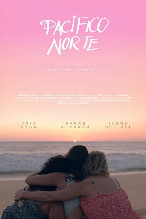 North Pacific (2018) poster
