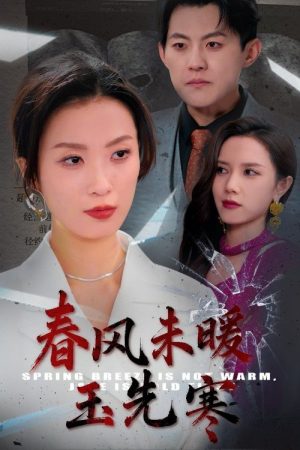 春风未暖玉先寒 (2025) poster