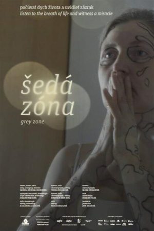 Grey Zone (2024) poster