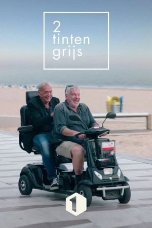 Twee Tinten Grijs (2020) poster