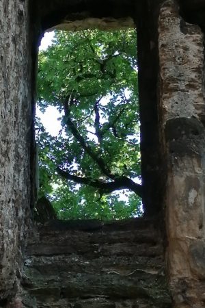 The Ruins of Seyssuel’s Castle (2025) poster