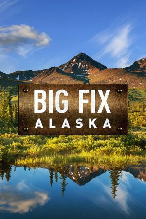 Big Fix Alaska (2016) poster
