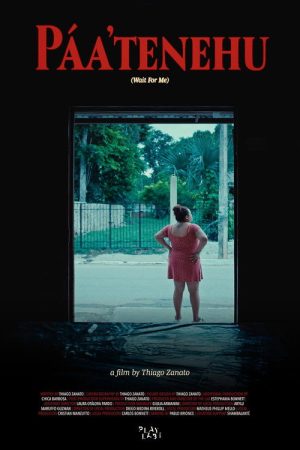 Wait For Me (2026) poster