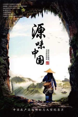 源味中国 (2018) poster