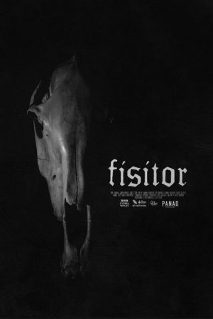 Fisitor (2024) poster