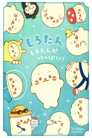 しろたんがいっぱい! (2017) poster